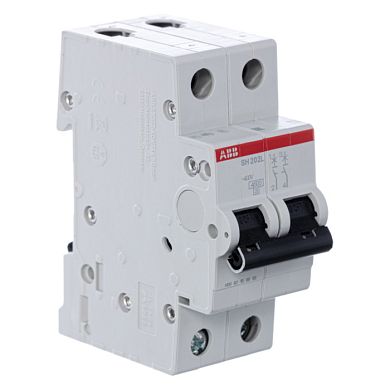 SH202L C32: 2CDS242001R0324 Автоматический выключатель 2-пол. SH202L C32 (ABB)